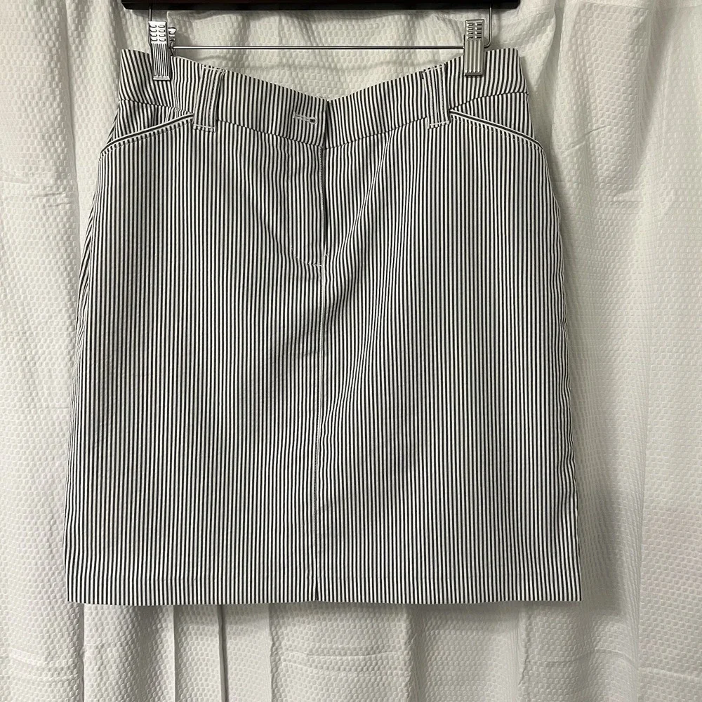 Charter Club Lined Skirt Blue Striped Skirt W Pockets Old Money Country Club EUC